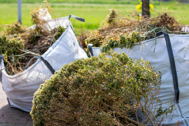 Best Mattress Disposal  in Sparta, MO